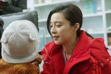 和明星做公益,明星公益行动纪实